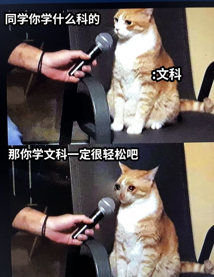 同学你学什么科的:文科那你学文科一定很轻松吧