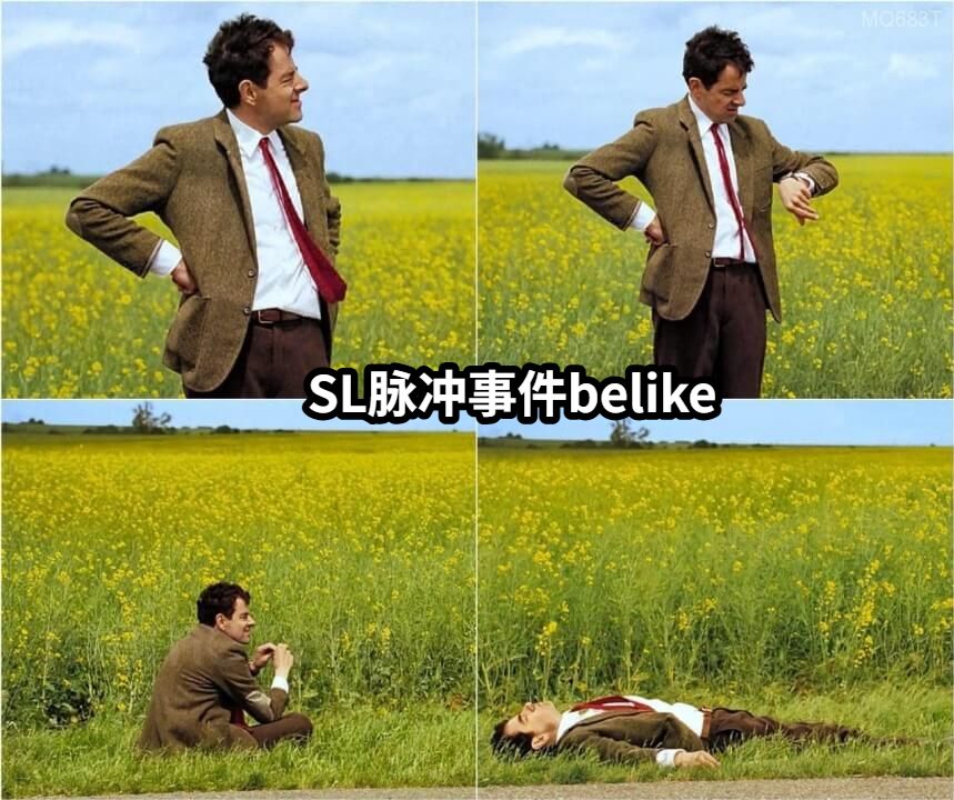 SL脉冲事件belike