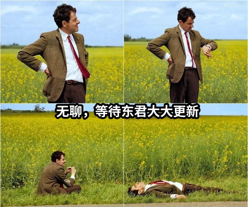 无聊，等待东君大大更新