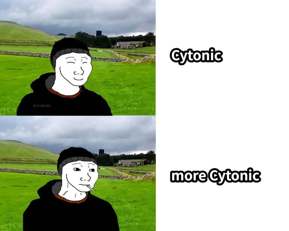 Cytonicmore Cytonic