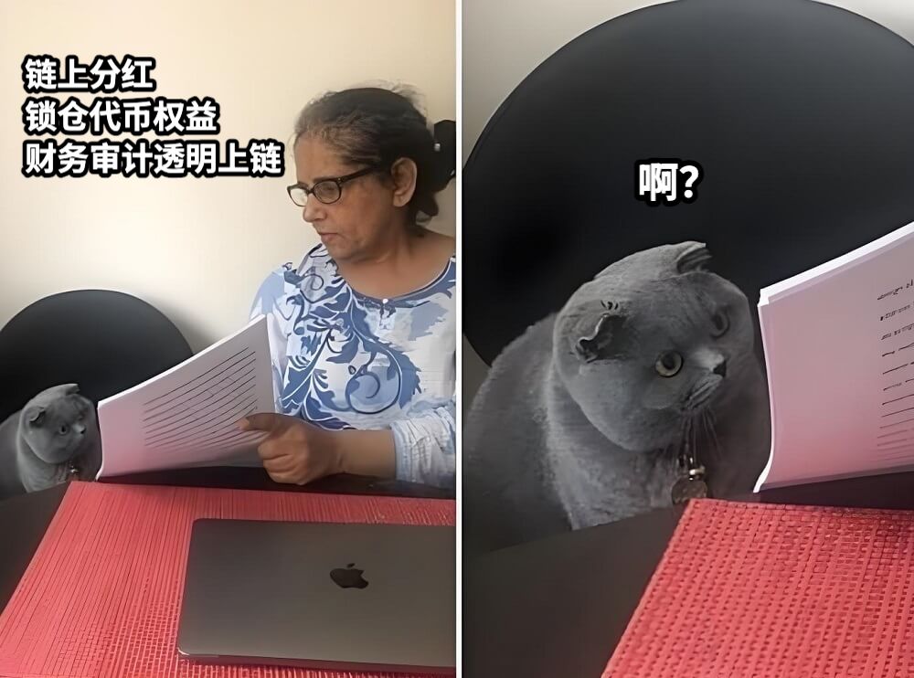 链上分红锁仓代币权益财务审计透明上链啊？