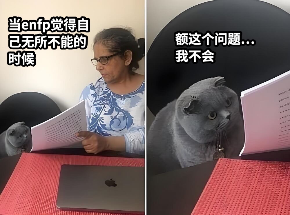 当enfp觉得自己无所不能的时候额这个问题…我不会
