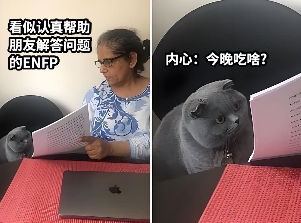 看似认真帮助朋友解答问题的ENFP内心：今晚吃啥?