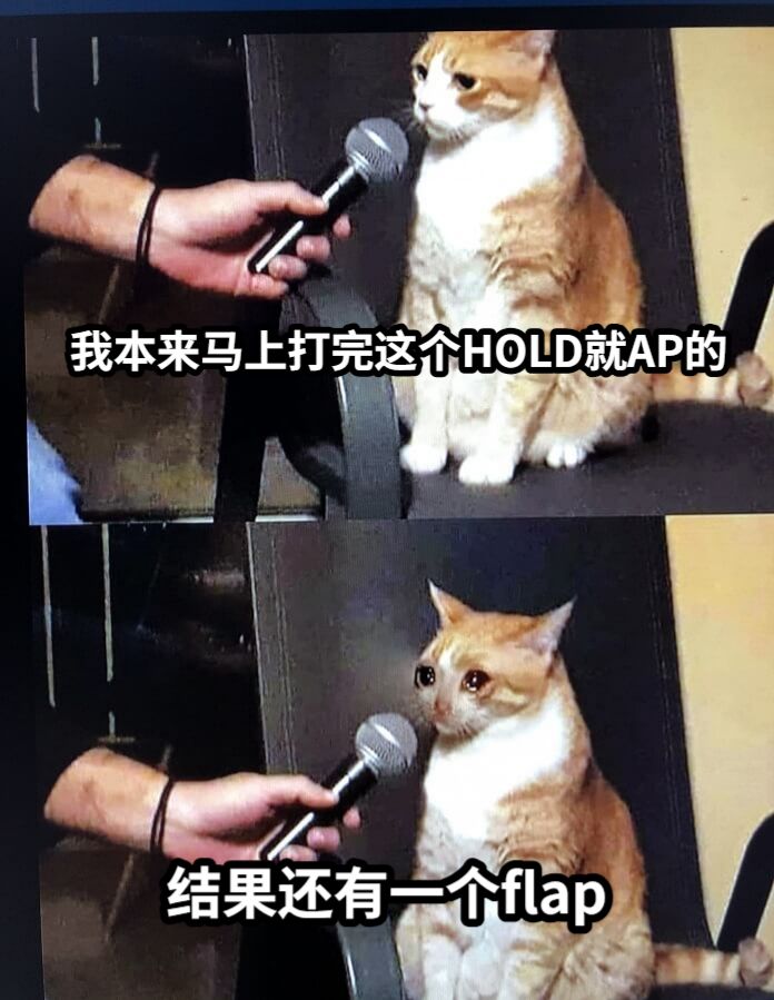我本来马上打完这个HOLD就AP的结果还有一个flap