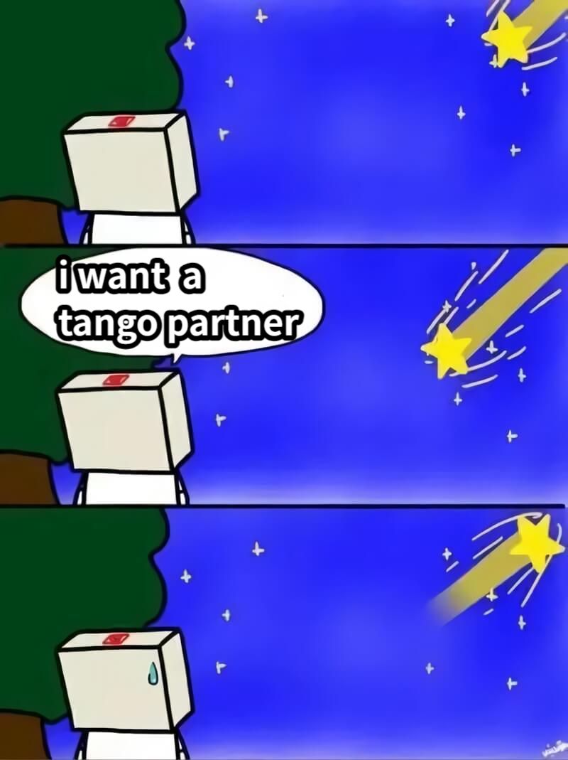 i want  a tango partner 
