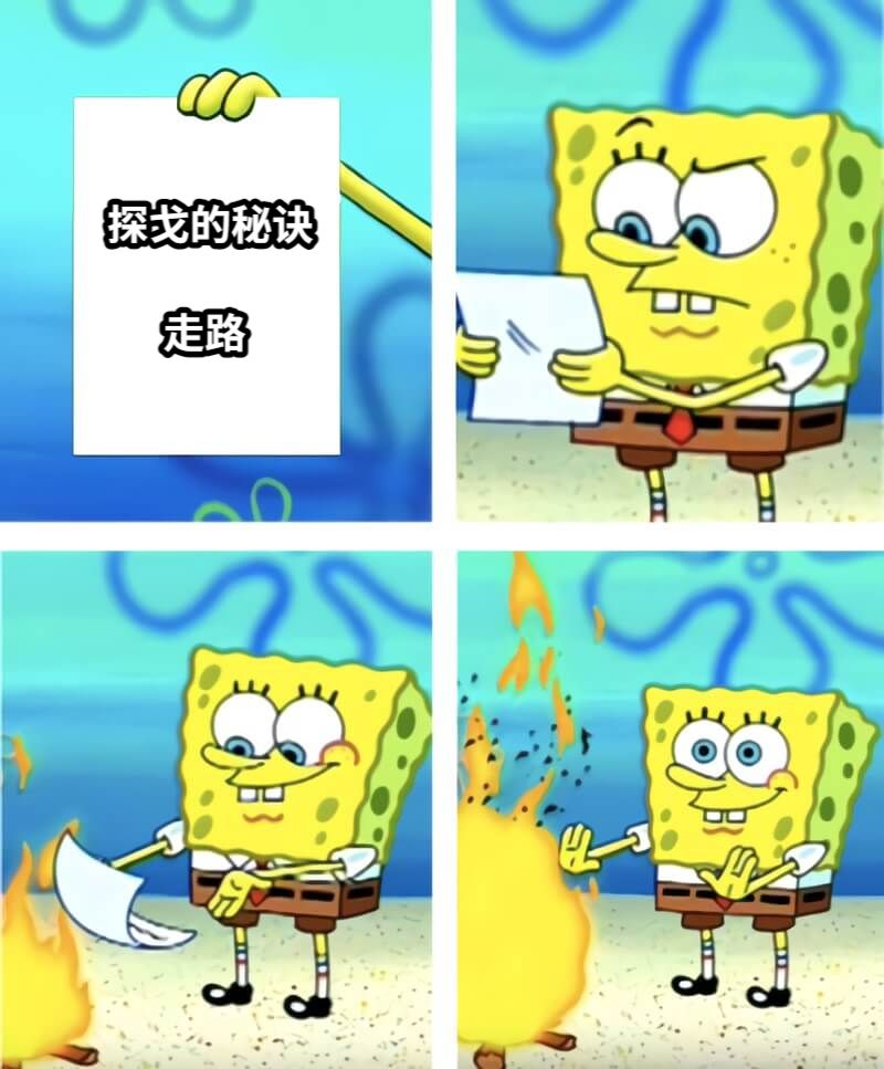 探戈的秘诀      走路