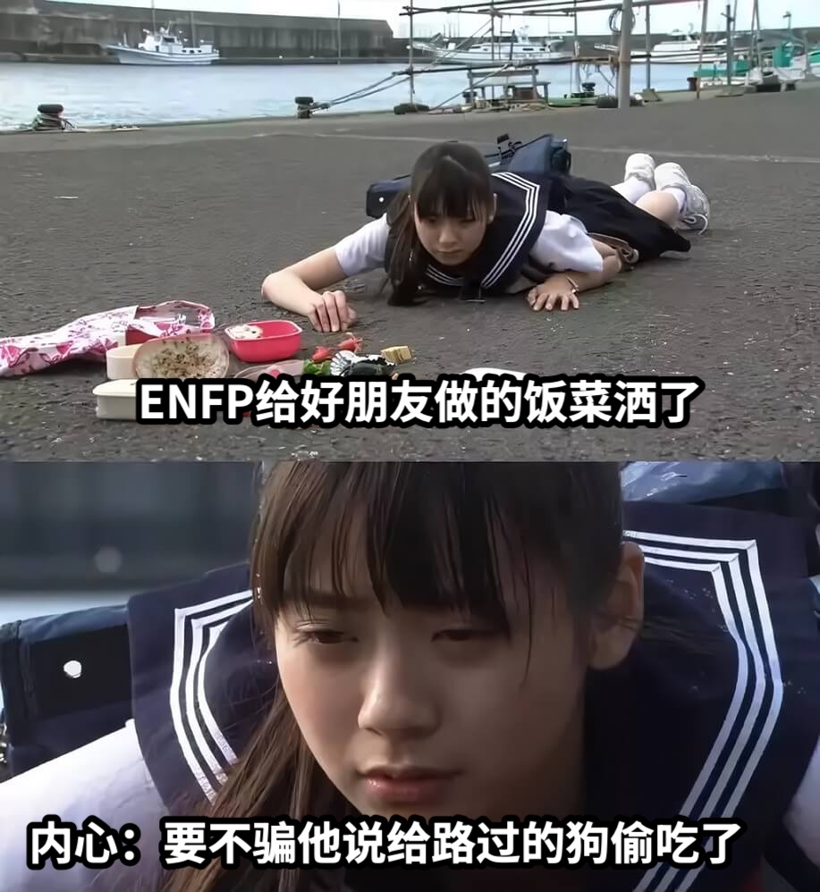 ENFP给好朋友做的饭菜洒了内心：要不骗他说给路过的狗偷吃了