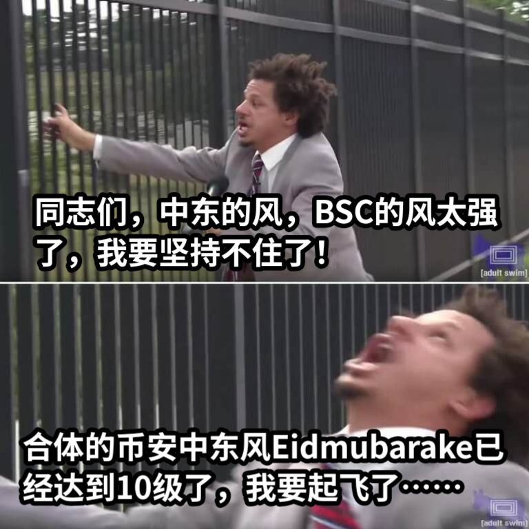 同志们，中东的风，BSC的风太强了，我要坚持不住了！合体的币安中东风Eidmubarake已经达到10级了，我要起飞了……