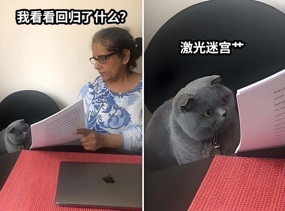 我看看回归了什么？激光迷宫艹