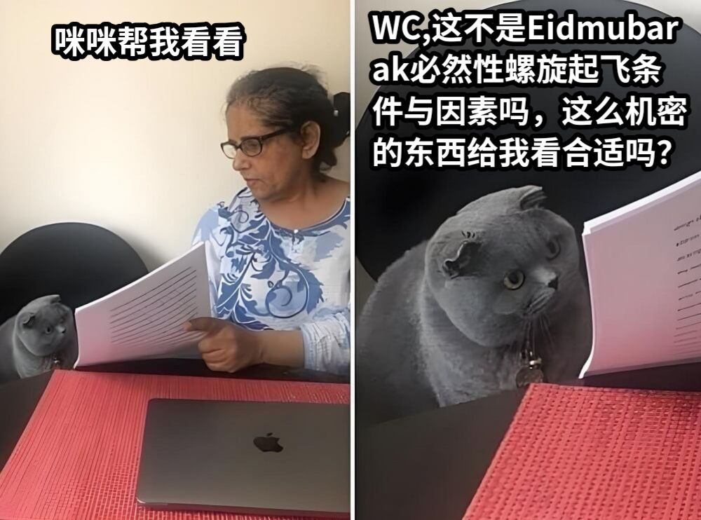 咪咪帮我看看WC,这不是Eidmubarak必然性螺旋起飞条件与因素吗，这么机密的东西给我看合适吗？