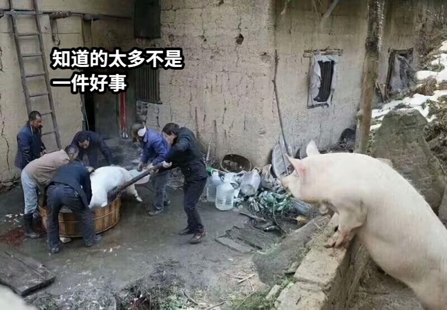 知道的太多不是一件好事