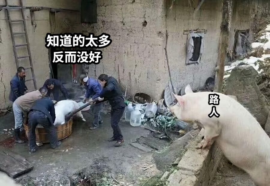 知道的太多路人反而没好