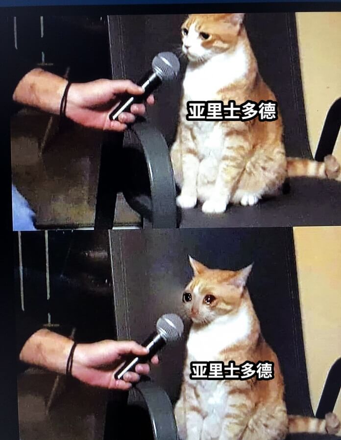 亚里士多德亚里士多德