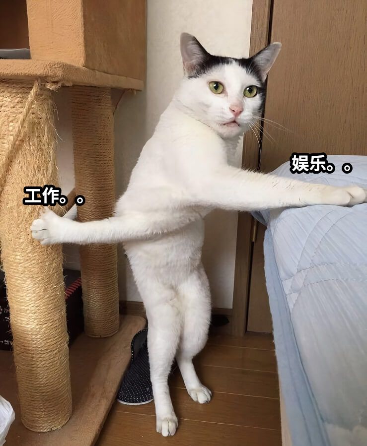 工作。。娱乐。。