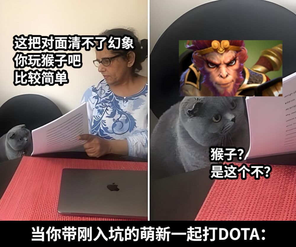 这把对面清不了幻象你玩猴子吧比较简单猴子？是这个不？当你带刚入坑的萌新一起打DOTA：