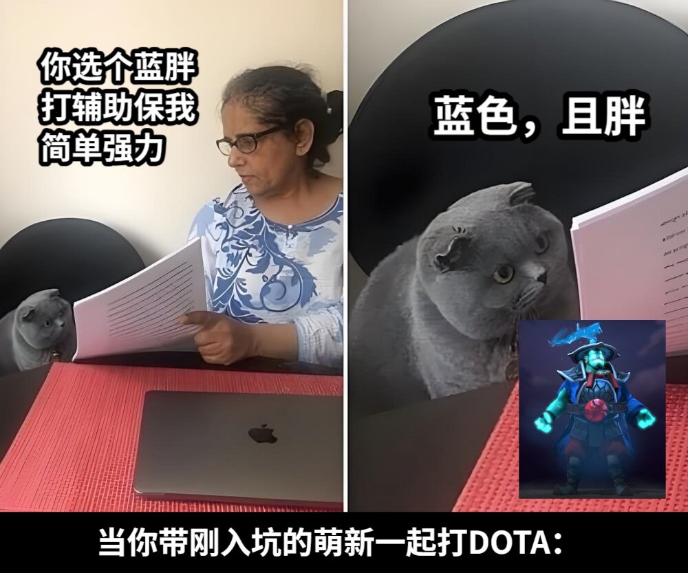 你选个蓝胖打辅助保我简单强力蓝色，且胖当你带刚入坑的萌新一起打DOTA：