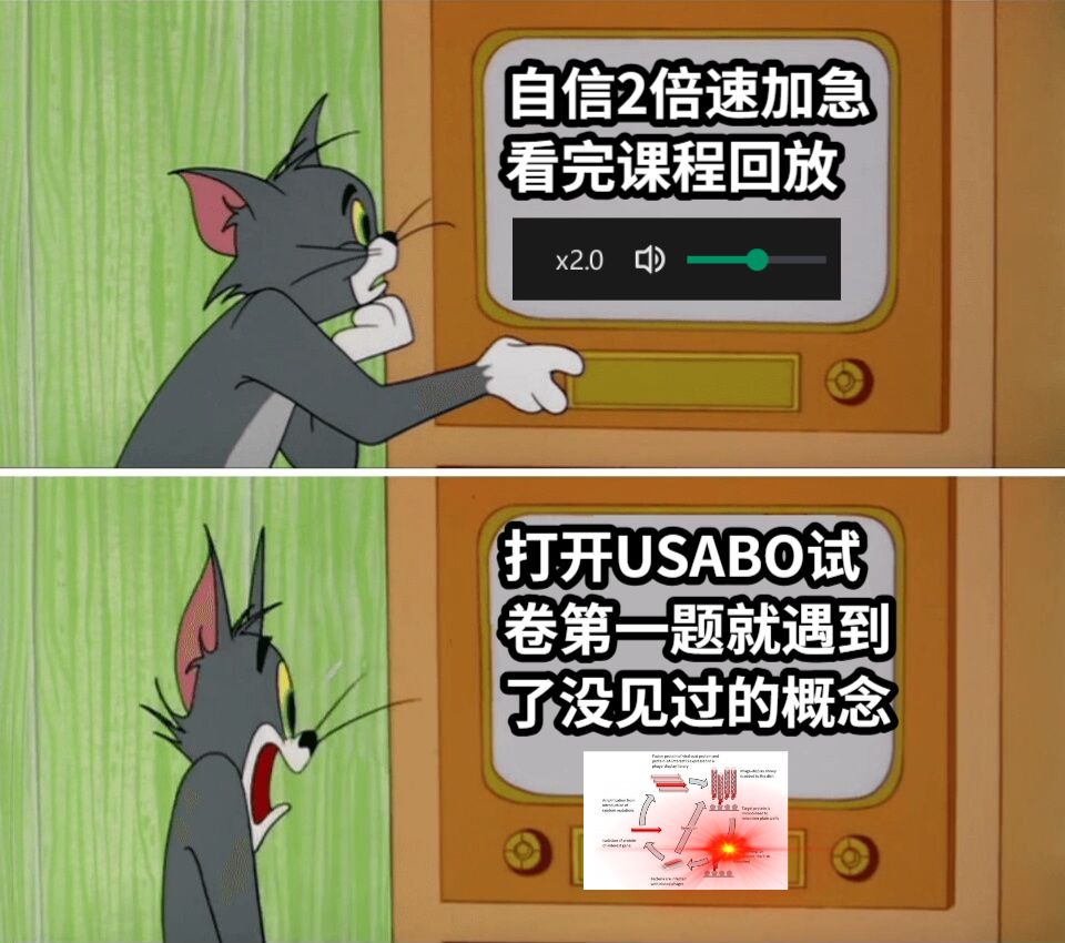 USABO难民现状