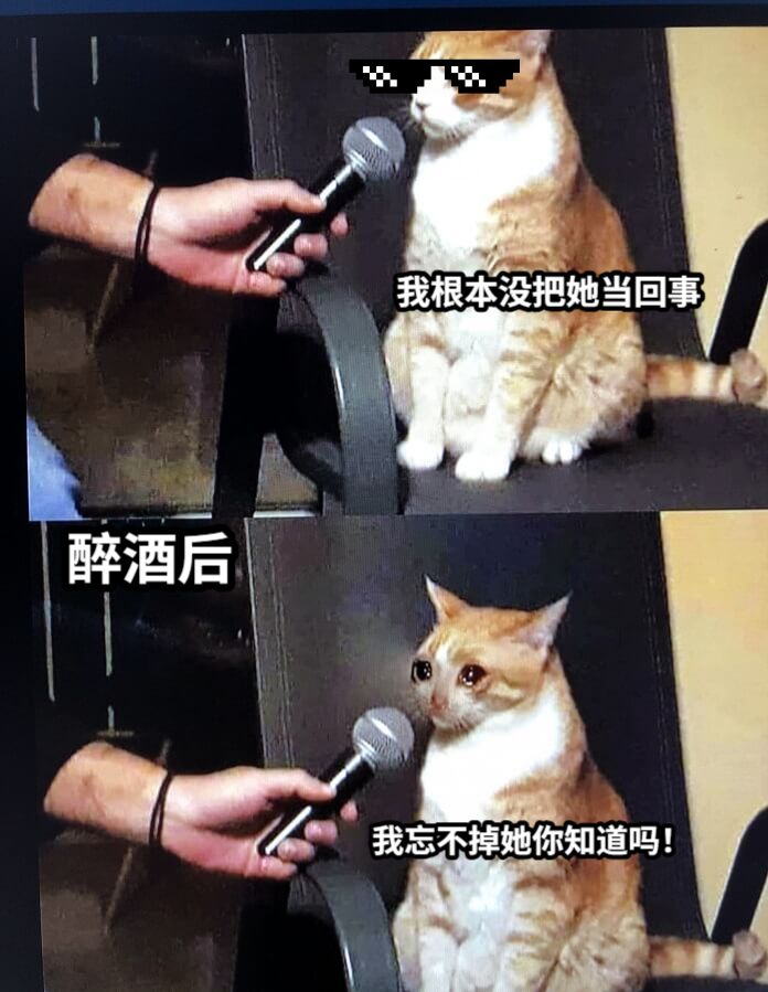 我忘不掉她你知道吗！我根本没把她当回事醉酒后