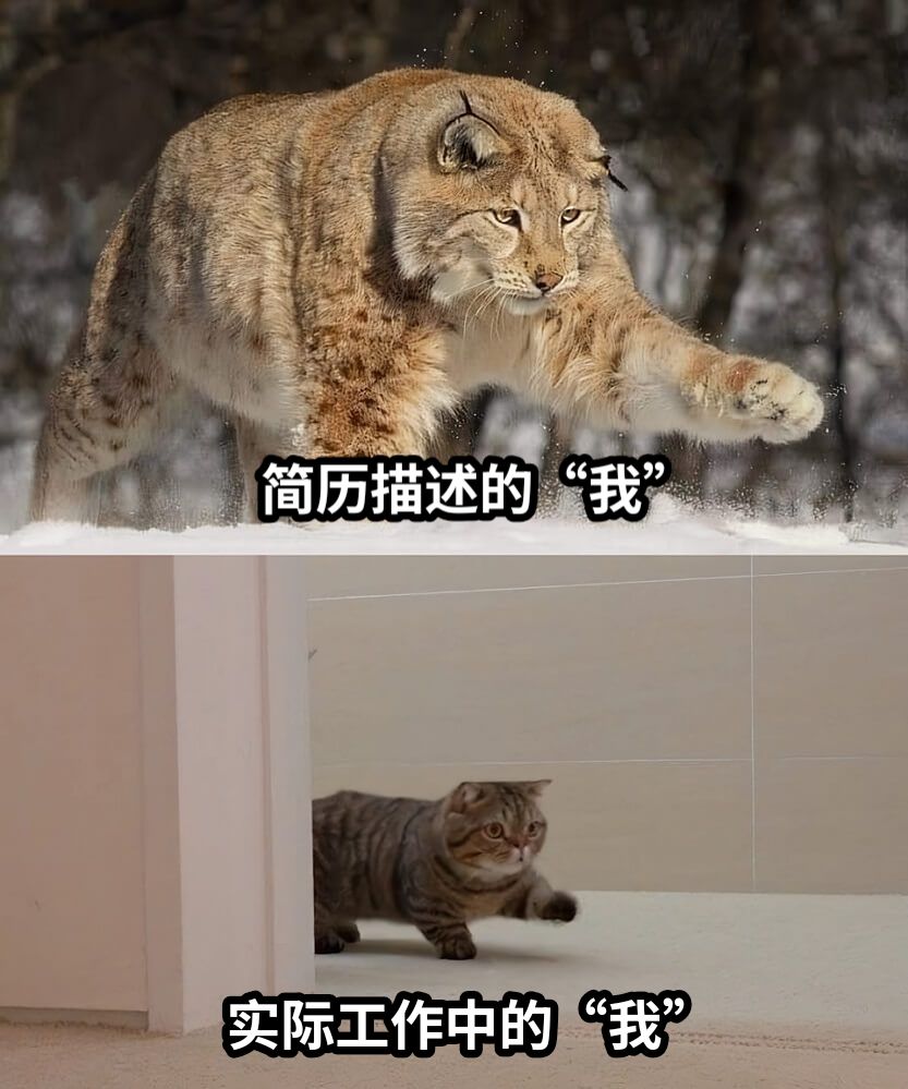 简历描述的“我”实际工作中的“我”