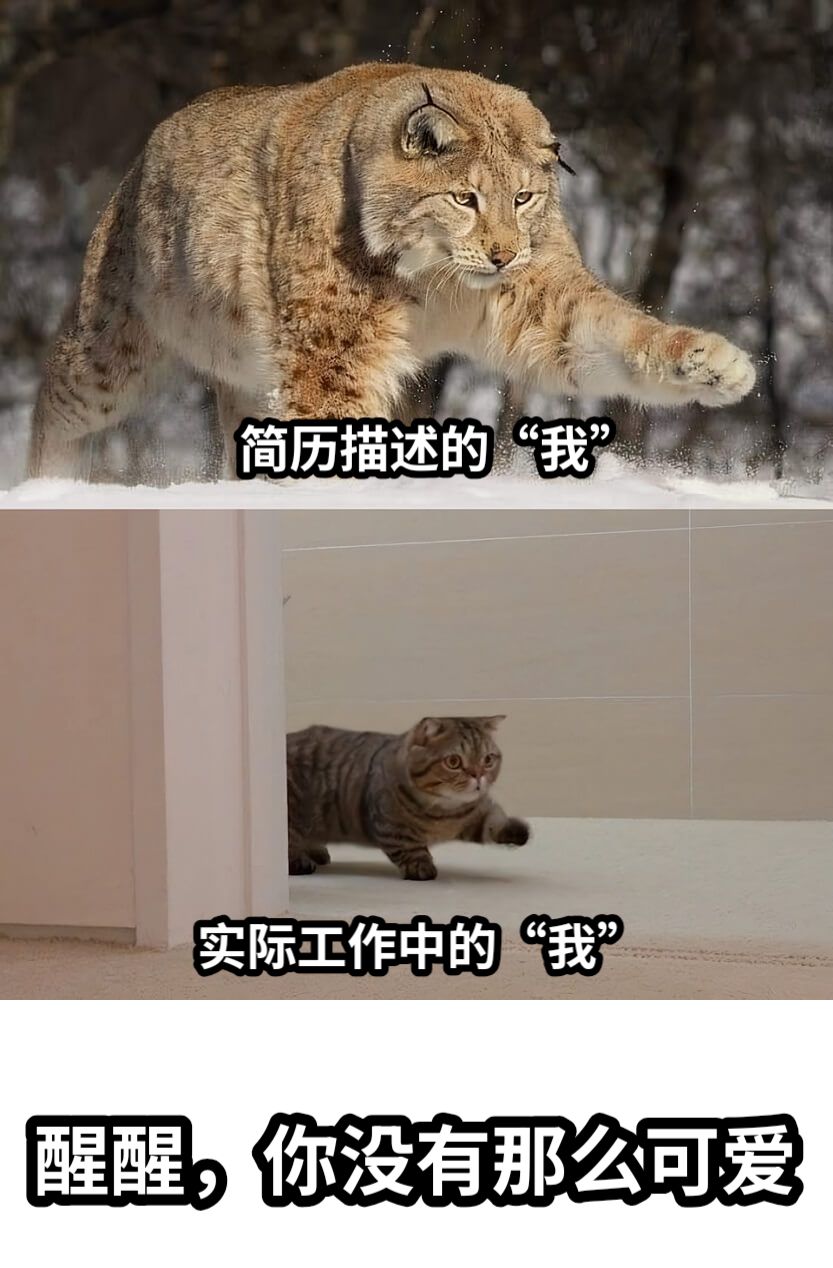 简历描述的“我”实际工作中的“我”醒醒，你没有那么可爱