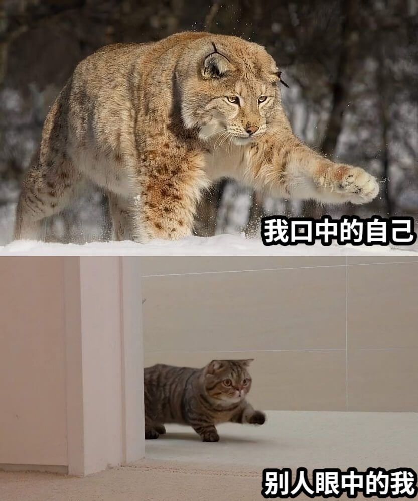 我口中的自己别人眼中的我