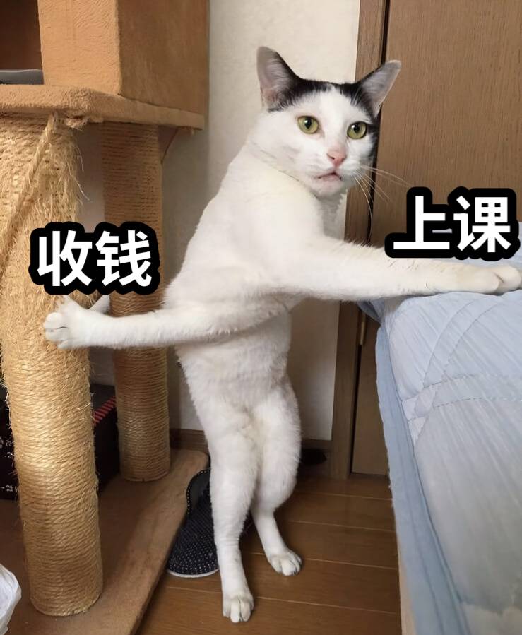 收钱上课