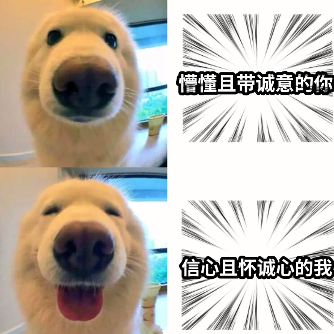 懵懂且带诚意的你信心且怀诚心的我