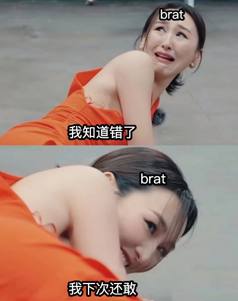 我知道错了我下次还敢bratbrat