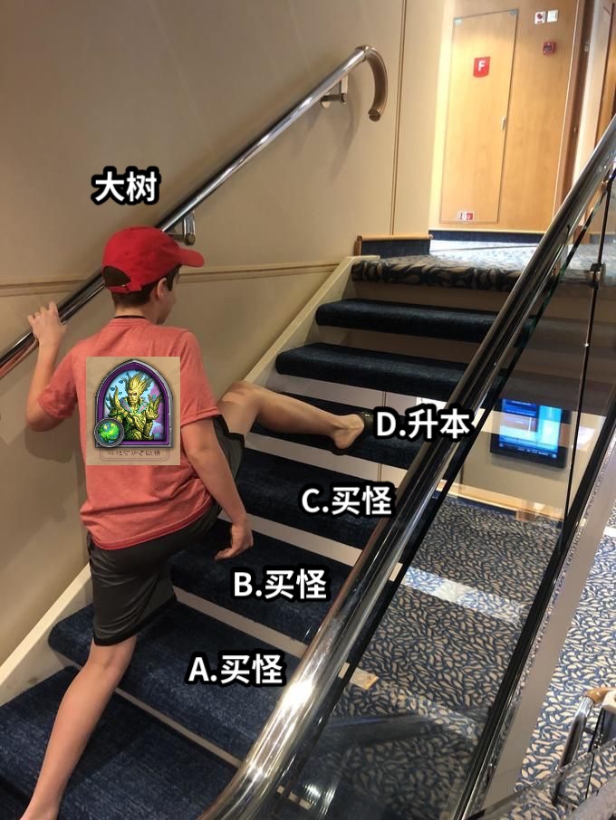 大树A.买怪B.买怪C.买怪D.升本