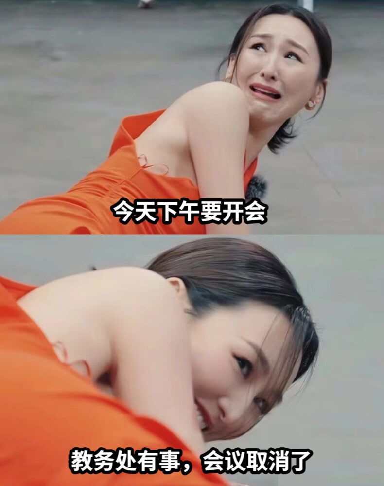 今天下午要开会教务处有事，会议取消了