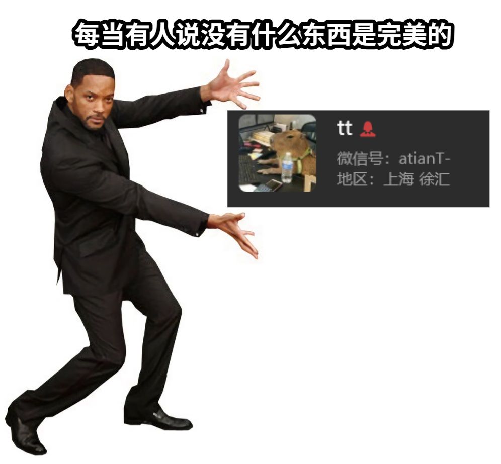 每当有人说没有什么东西是完美的