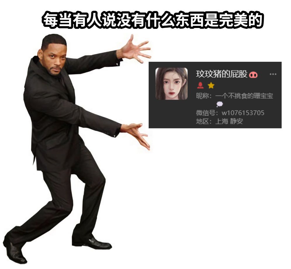 每当有人说没有什么东西是完美的