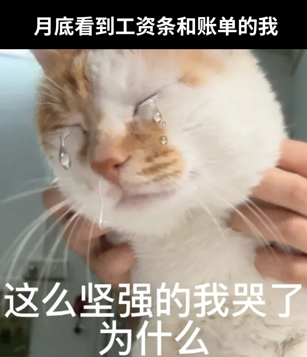 月底看到工资条和账单的我