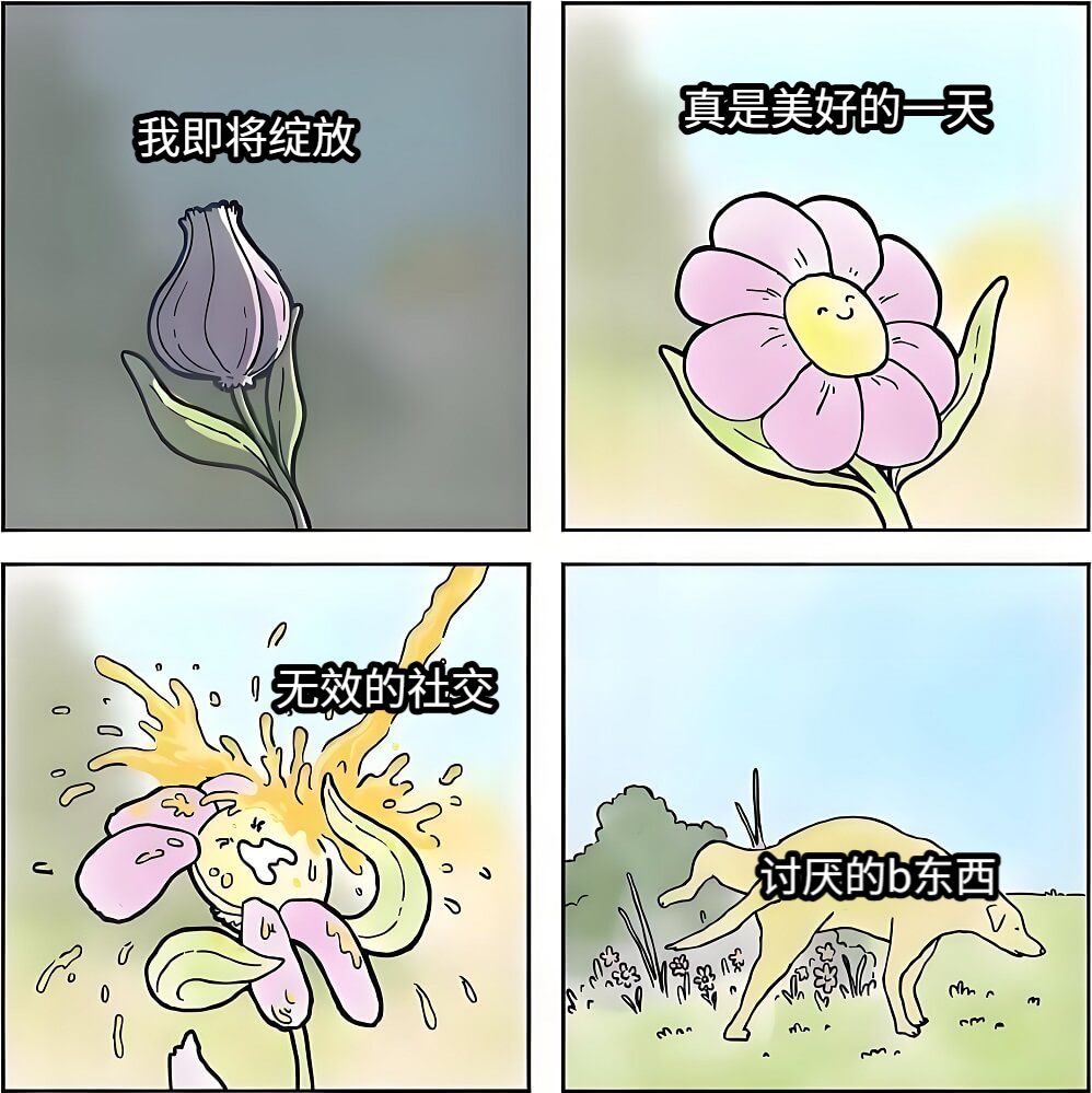 我即将绽放真是美好的一天无效的社交讨厌的b东西