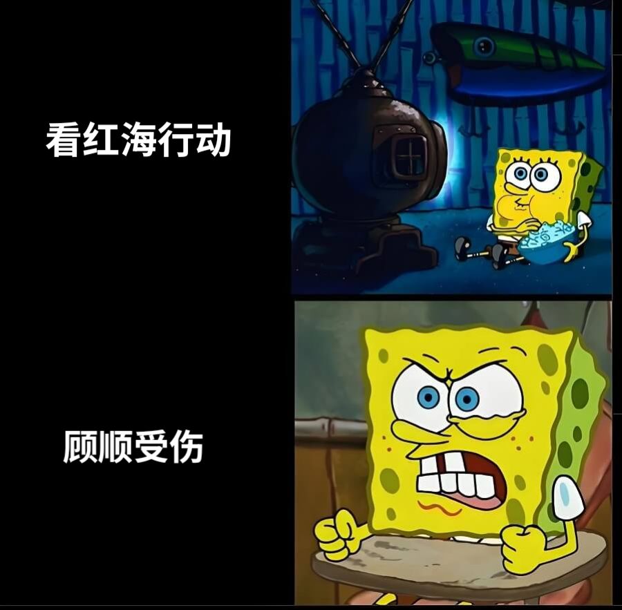 看红海行动顾顺受伤