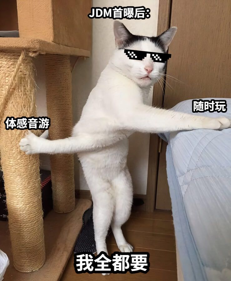 体感音游随时玩JDM首曝后：我全都要