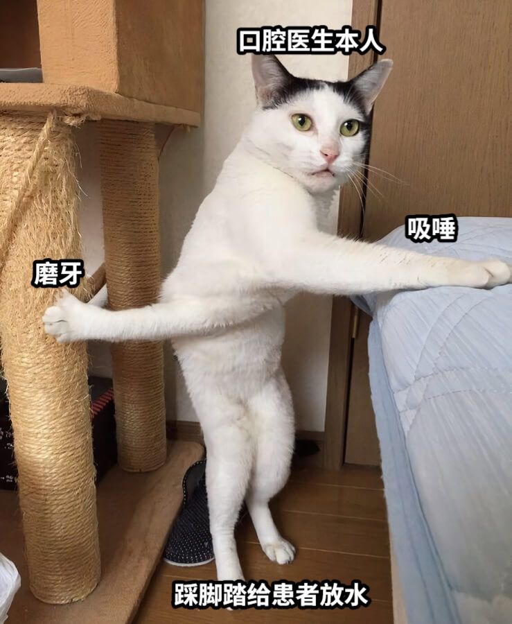 磨牙吸唾踩脚踏给患者放水口腔医生本人