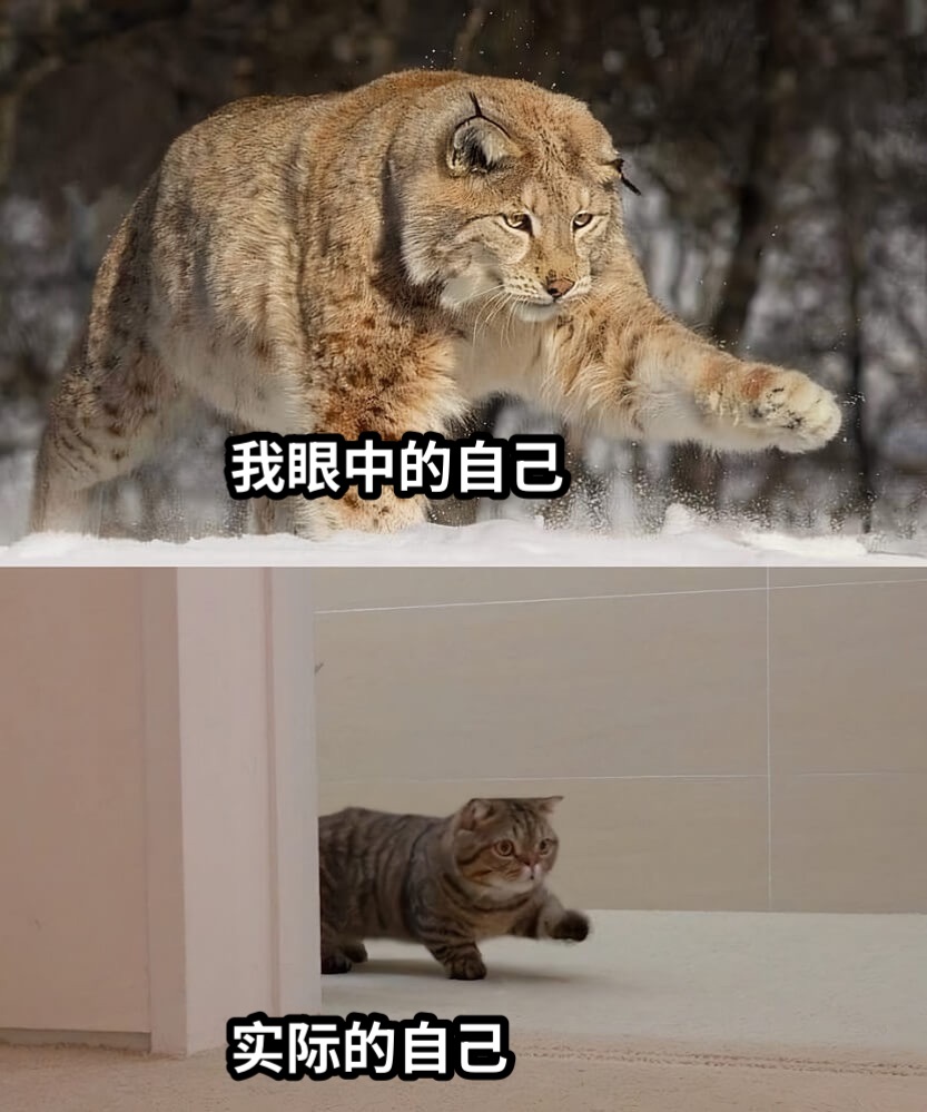 我眼中的自己实际的自己