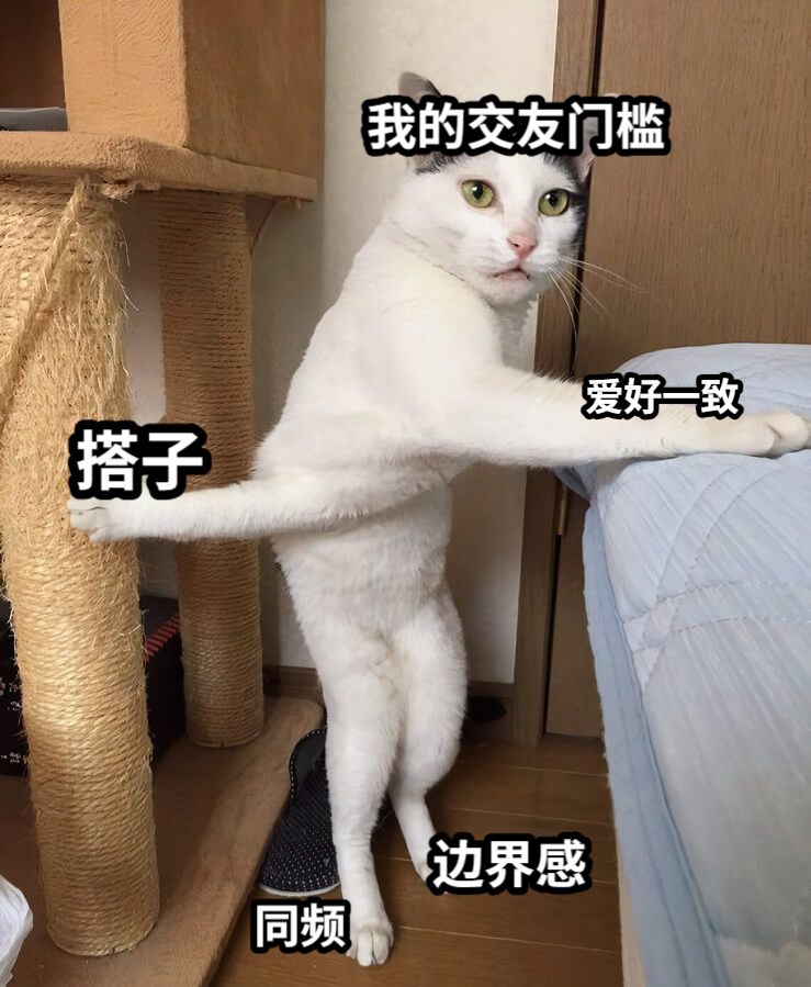 搭子边界感同频爱好一致我的交友门槛