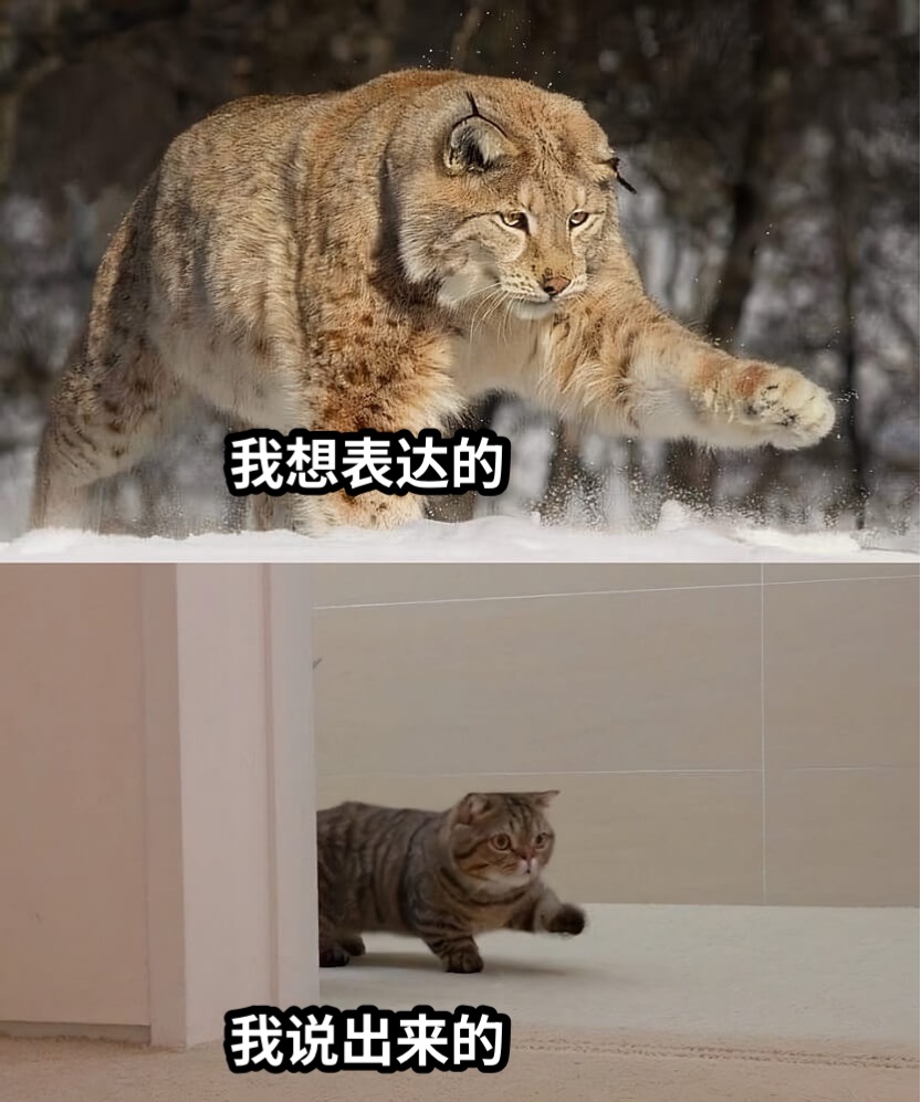 我想表达的我说出来的