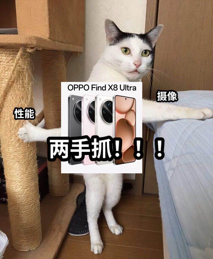 性能摄像两手抓！！！