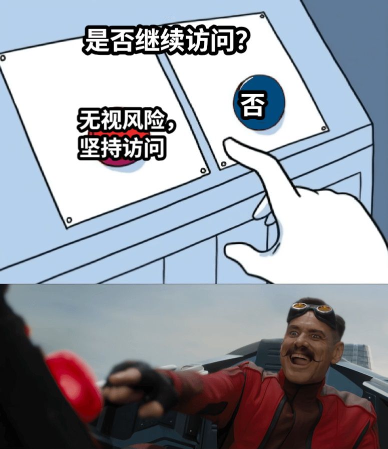 是否继续访问？无视风险，坚持访问否