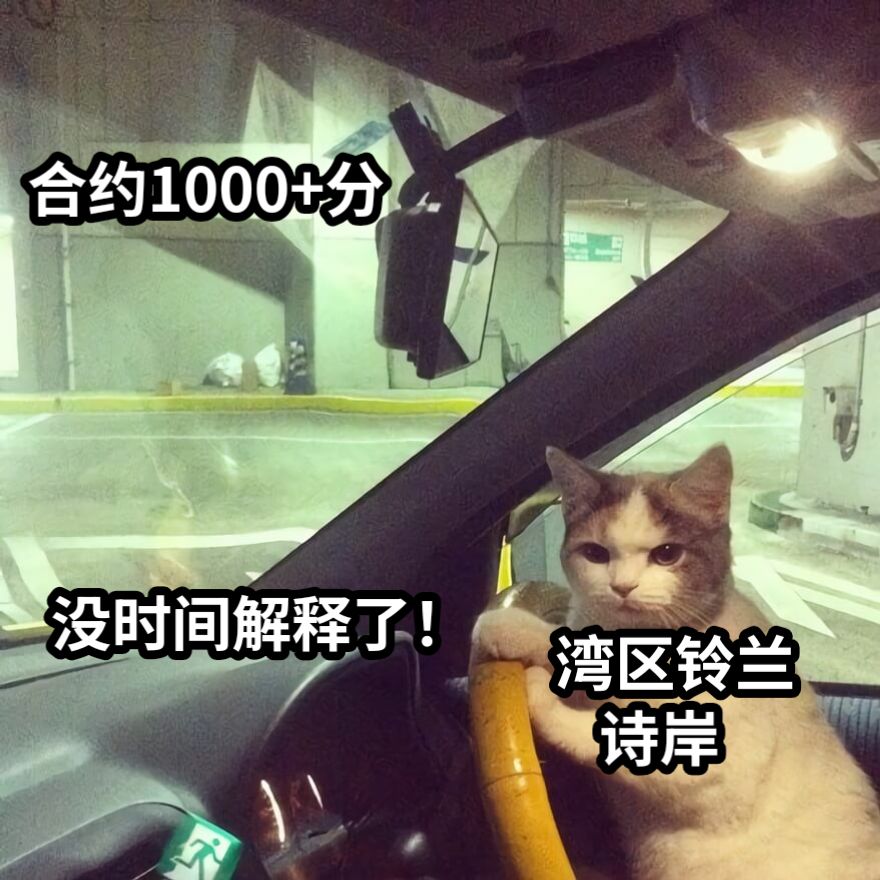 合约1000+分没时间解释了！诗岸湾区铃兰