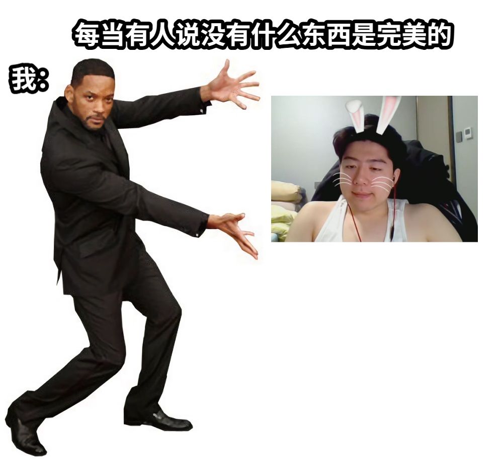 每当有人说没有什么东西是完美的我：