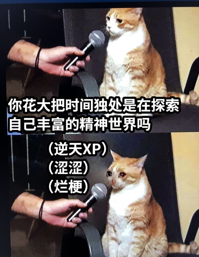 人生浪费指南