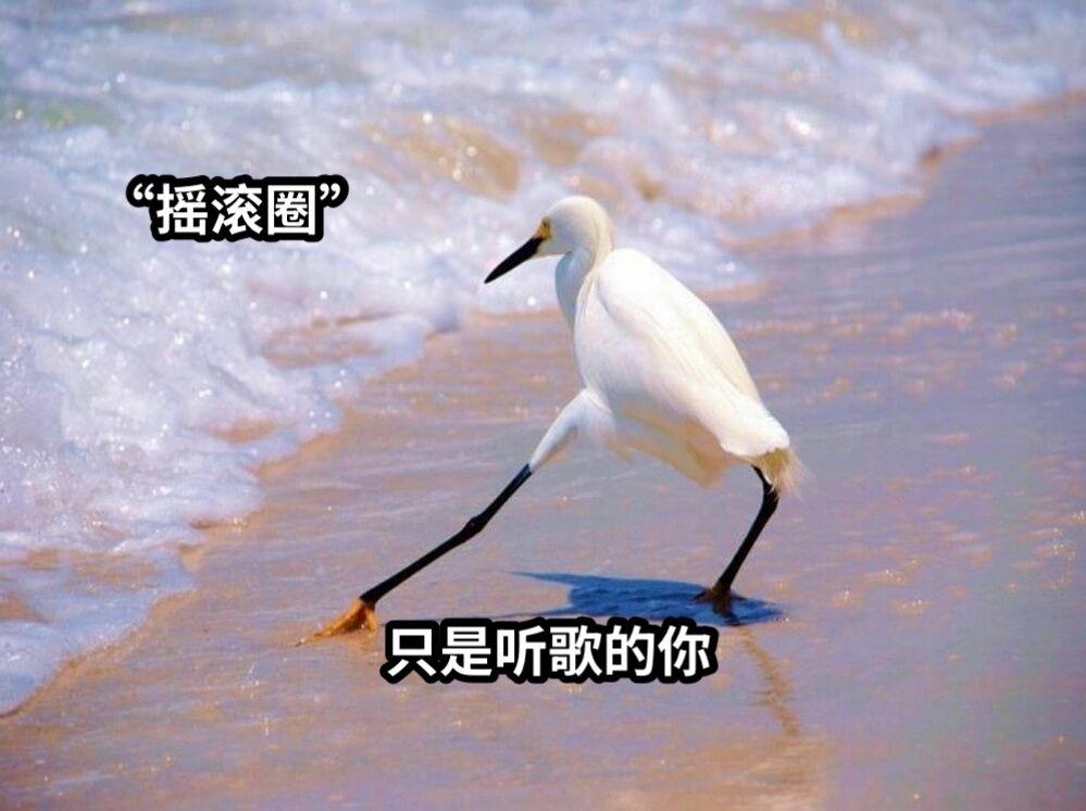 只是听歌的你“摇滚圈”