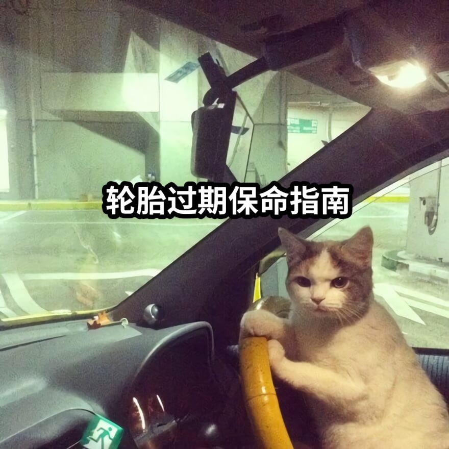 轮胎过期保命指南