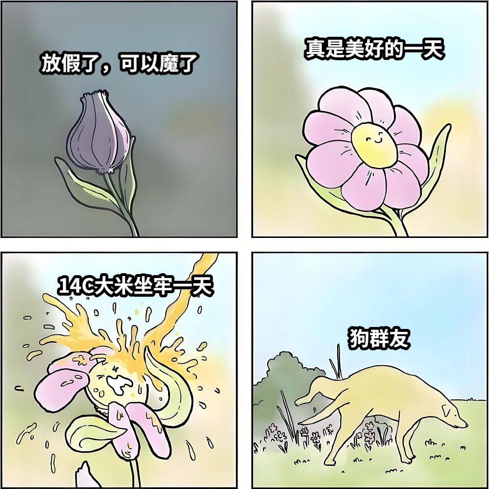 放假了，可以魔了真是美好的一天14C大米坐牢一天狗群友