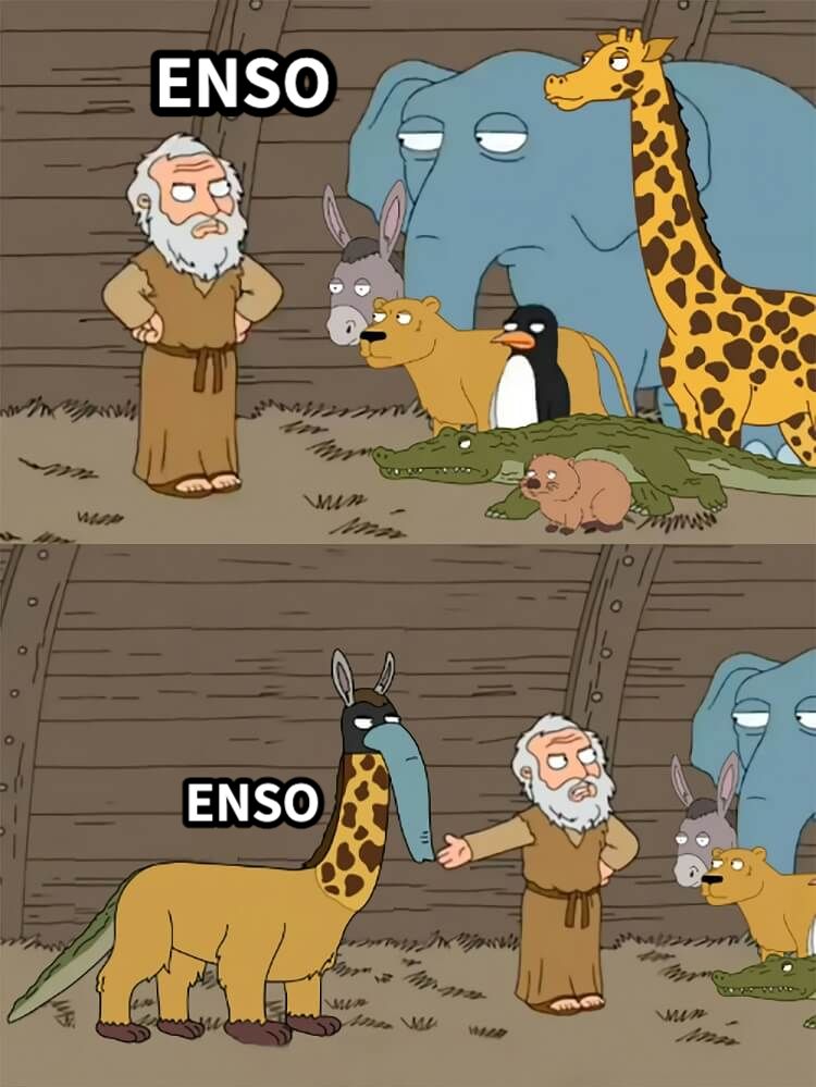 ENSOENSO