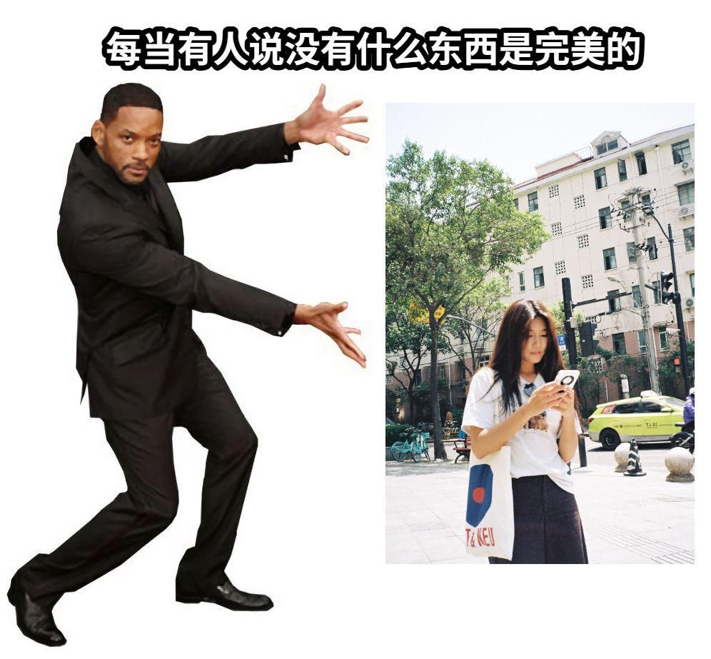 每当有人说没有什么东西是完美的